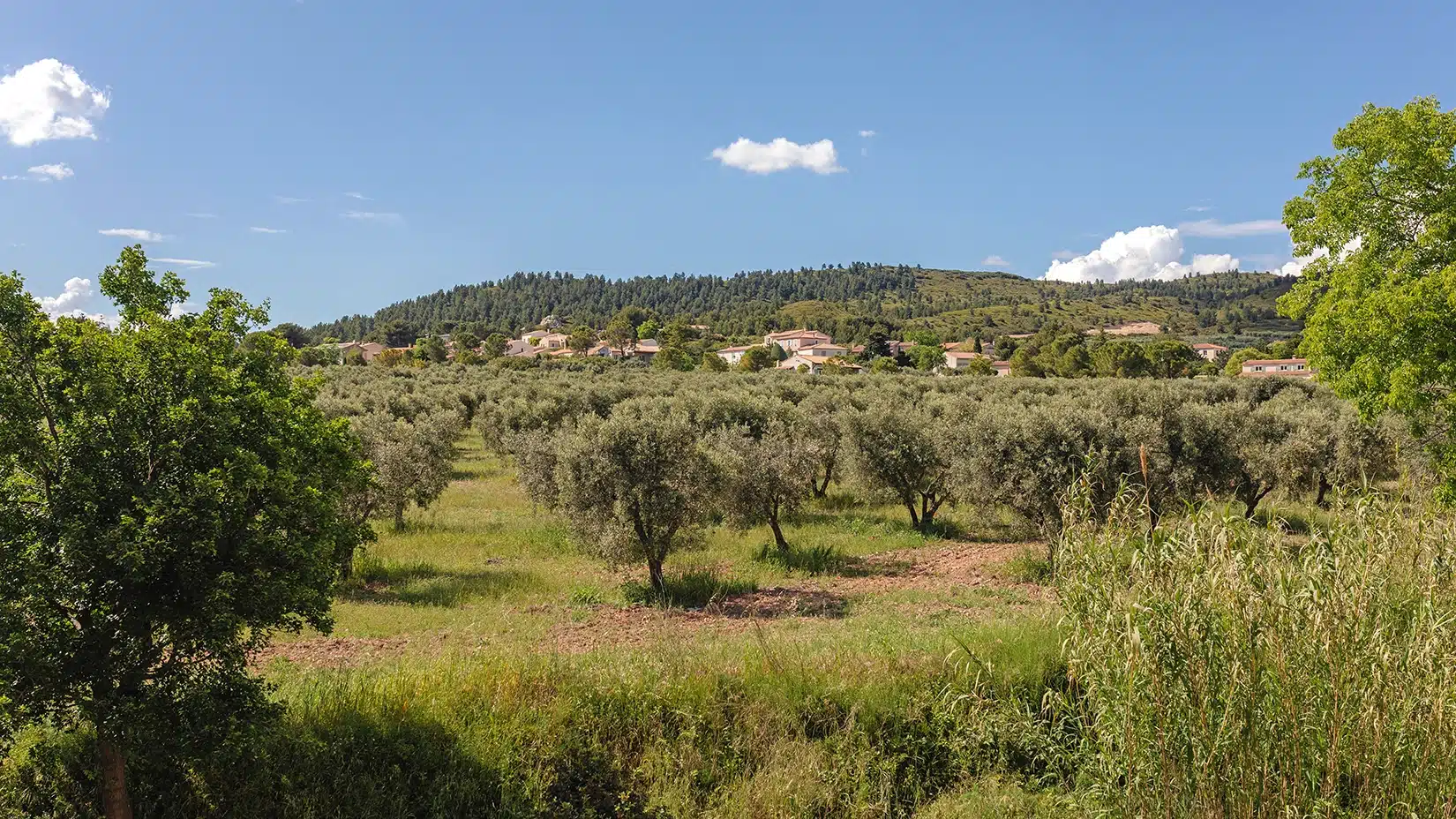 Gde-Images-Villa-19-MC-02 Villa-luxe Alpilles