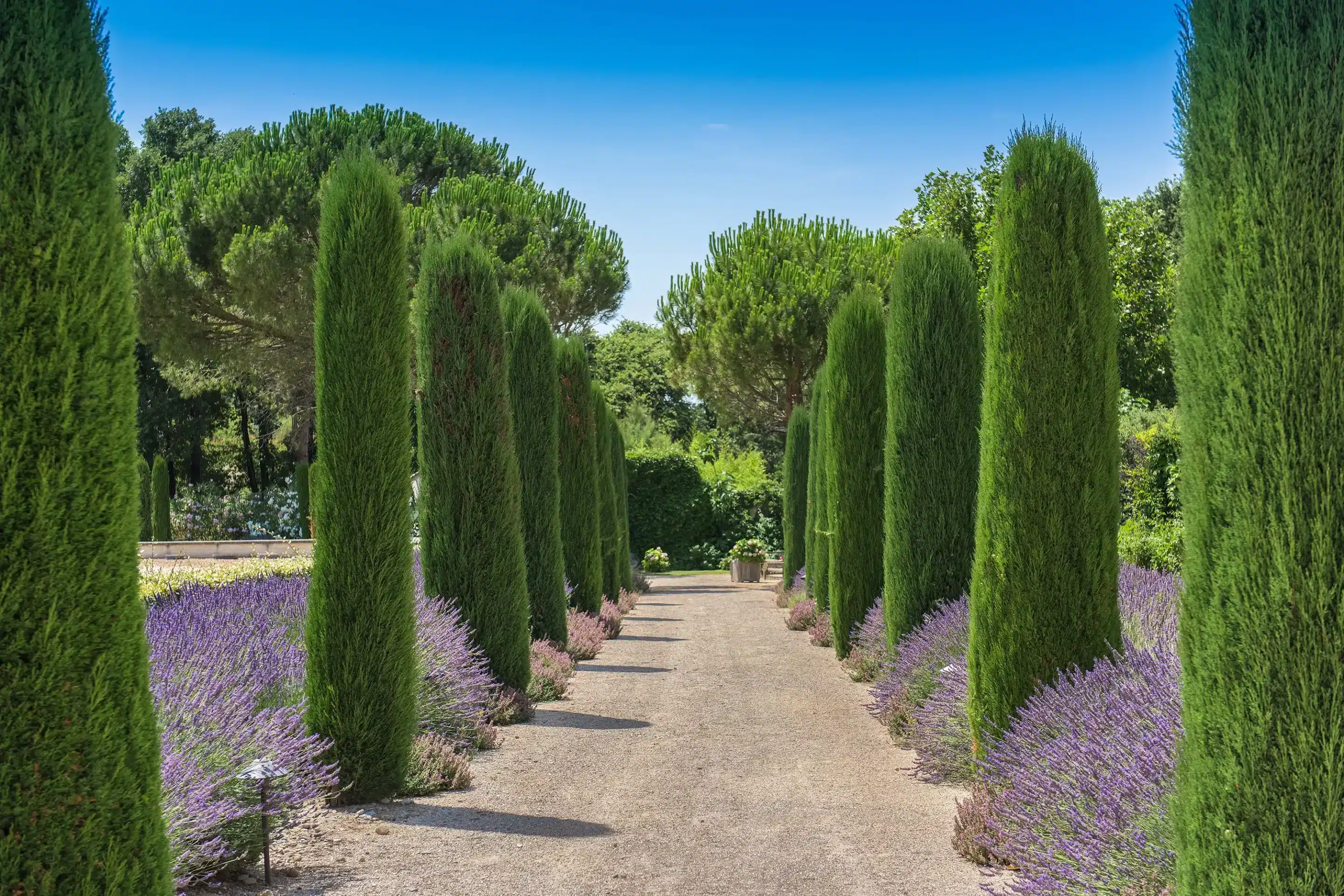 Mariage évènements Provence