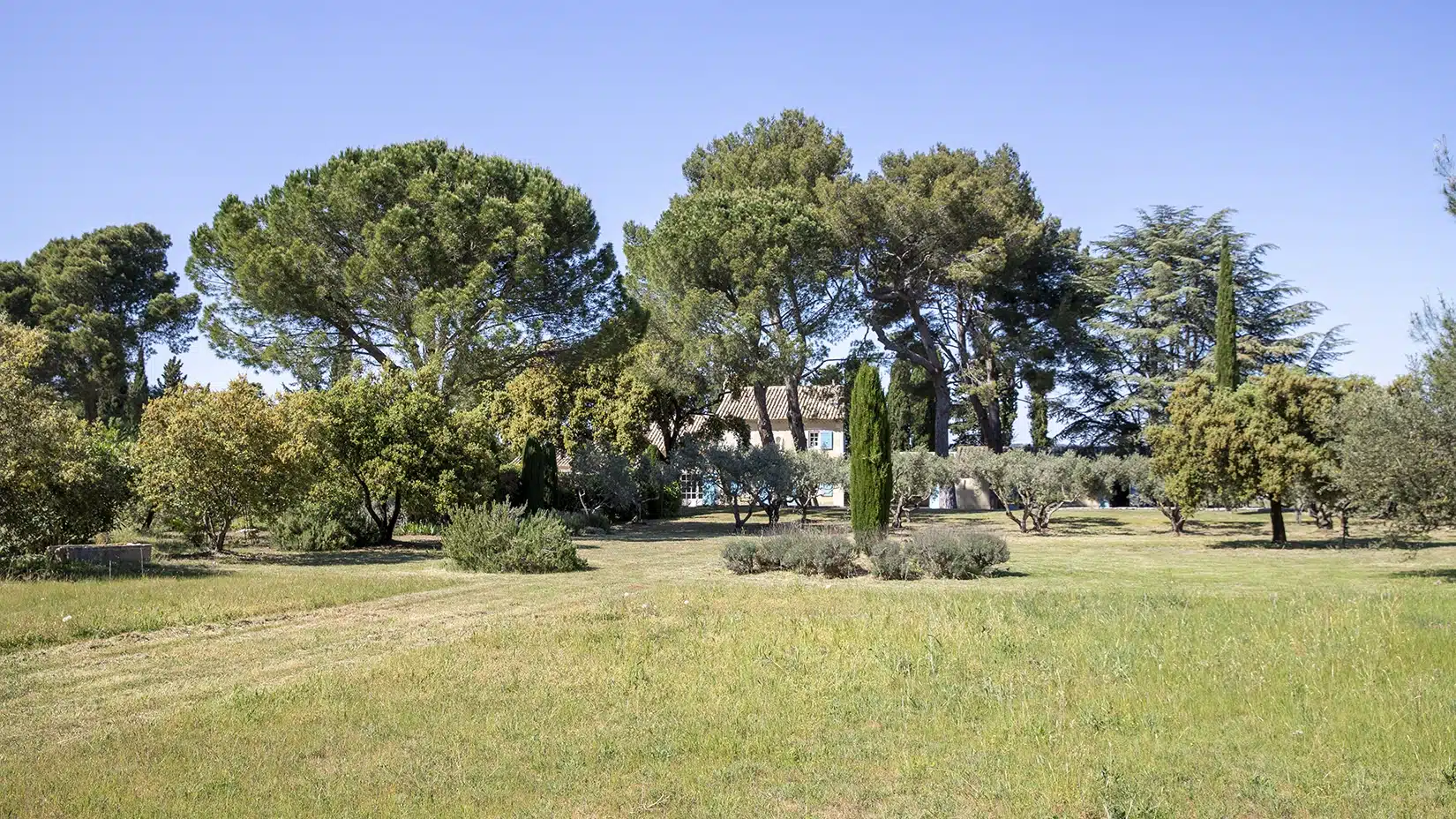 Saint Rémi-Provence-villa à louer